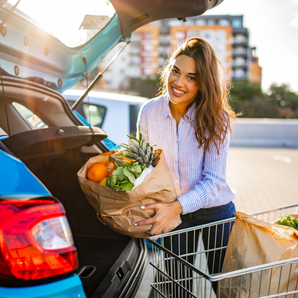 Grocery_car