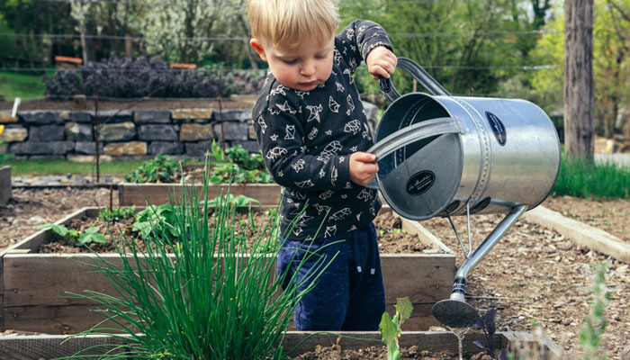 Boy helping with a home improvement project this summer as he waters his new garden.